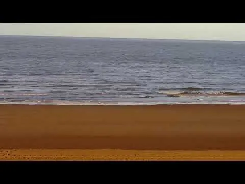 Live River Woods Beach Club HD Webcam, Knokke, Belgium, West Flanders live camera view on VolveVision
