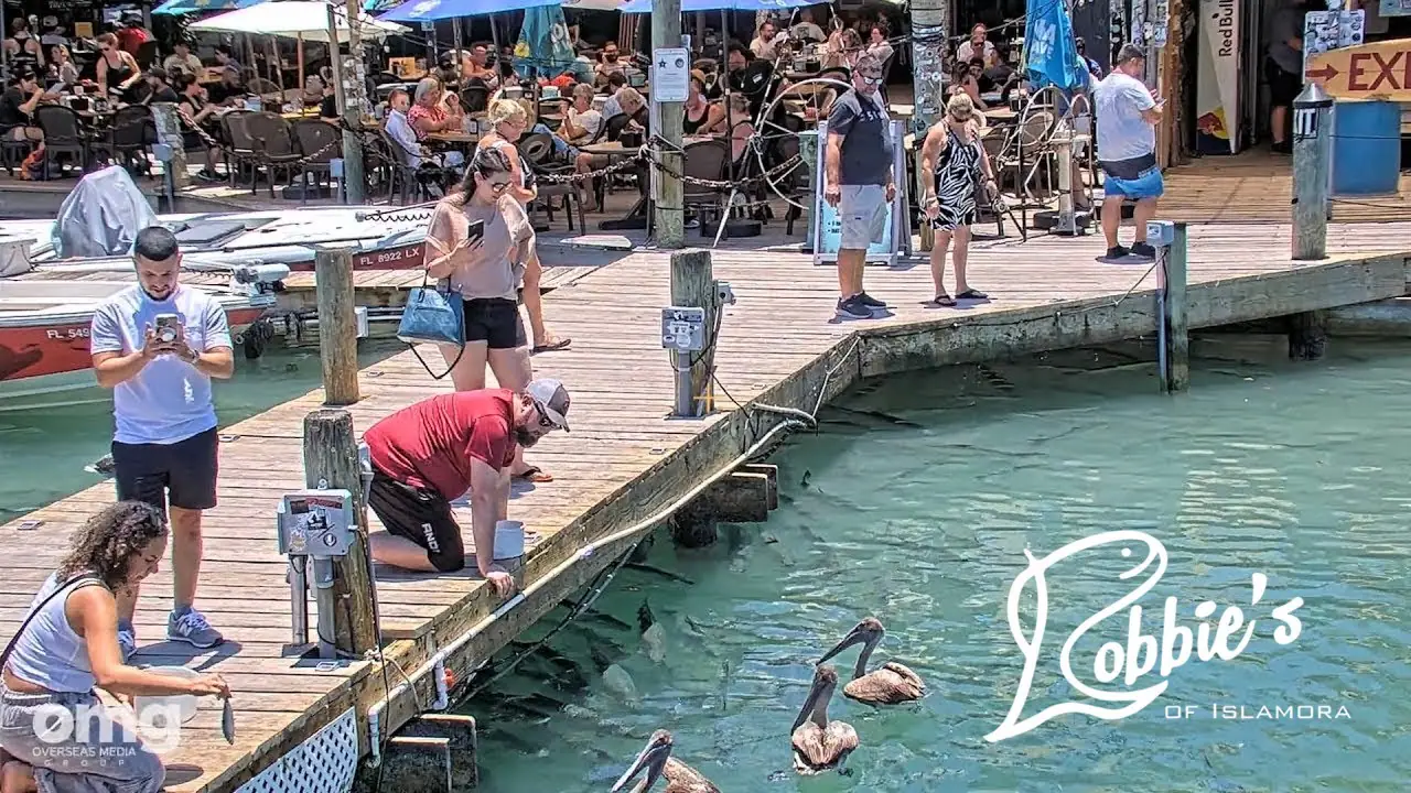 Robbie's Marina Cam, FL
