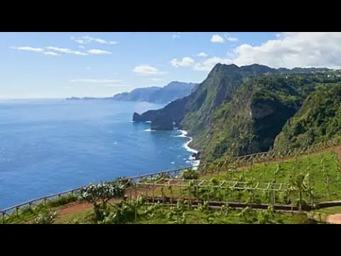 Quinta do Furão Cam, Santana