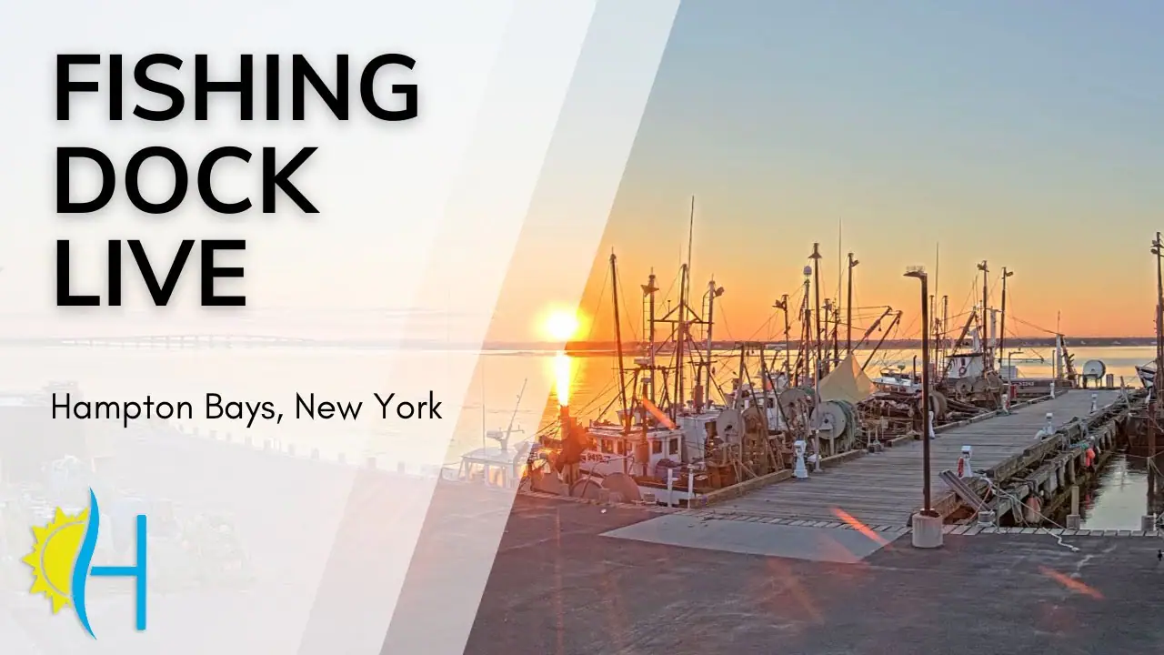 Shinnecock Fishing Dock, NY