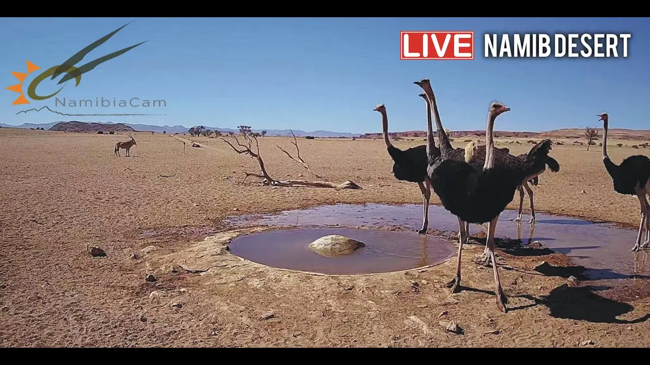 Cámara Namib Desert Lodge