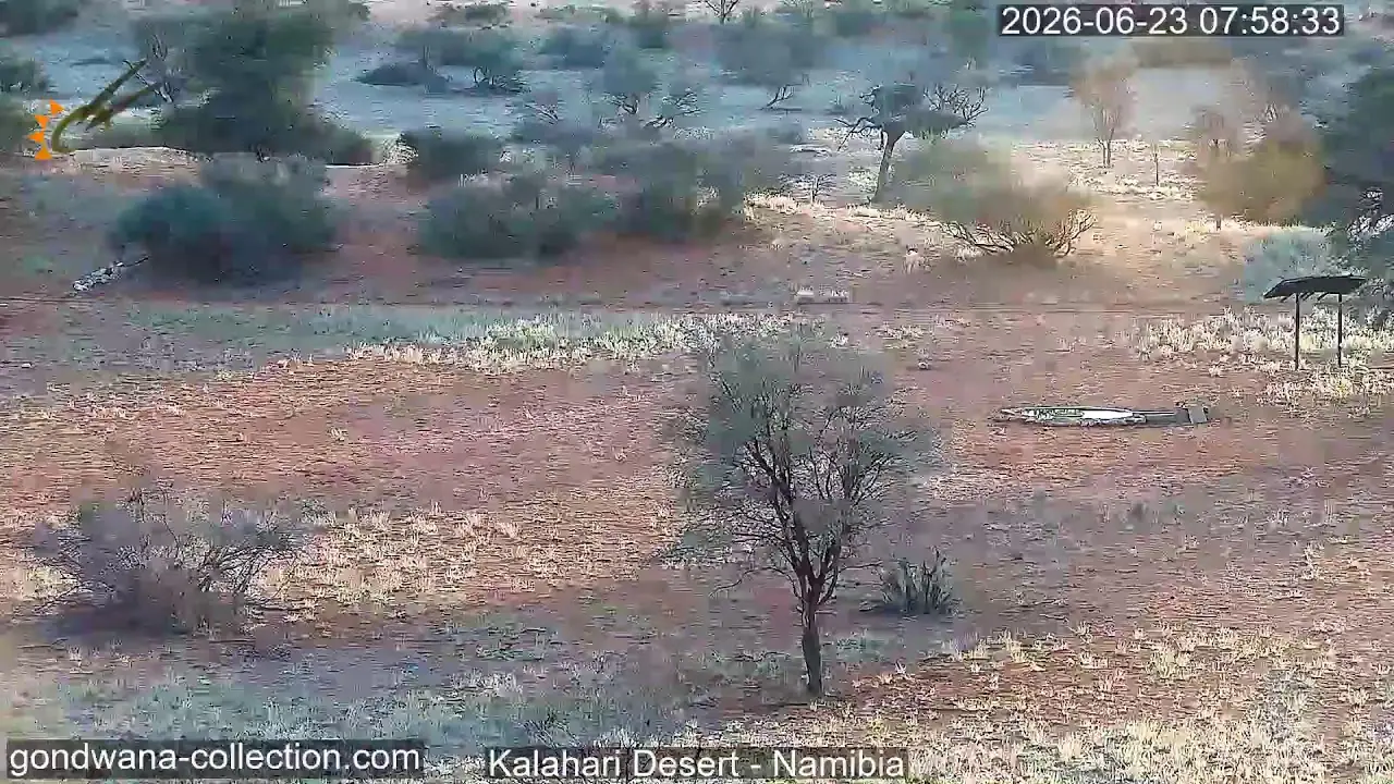 Cámara del desierto del Kalahari, Namibia