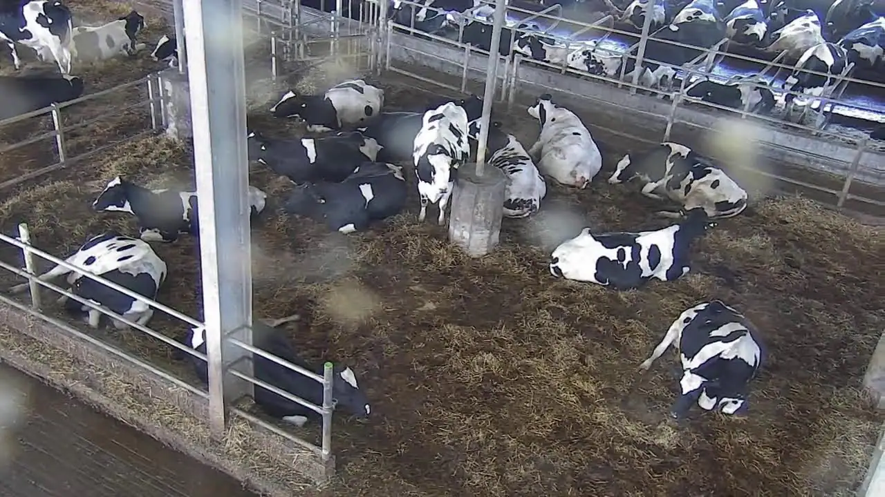 Granja Hemme Milch Uckermark, Alemania