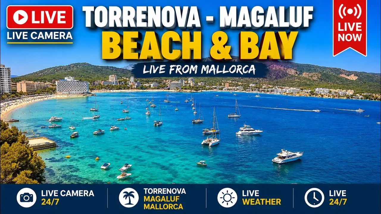 Vista en vivo de Magaluf/Palmanova, Mallorca, Calvià en VolveVision