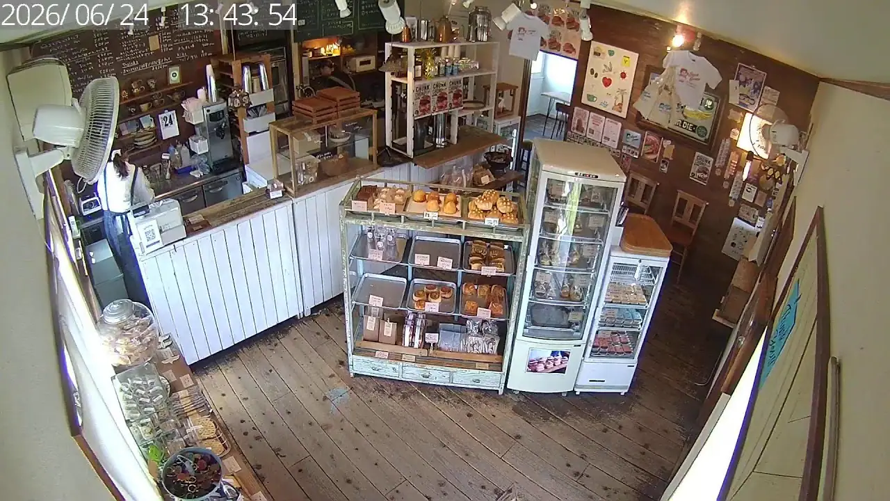 Umineko Shouten In-store, Japan live camera view on VolveVision