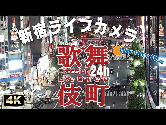 Kabukicho Crossing, Tokyo