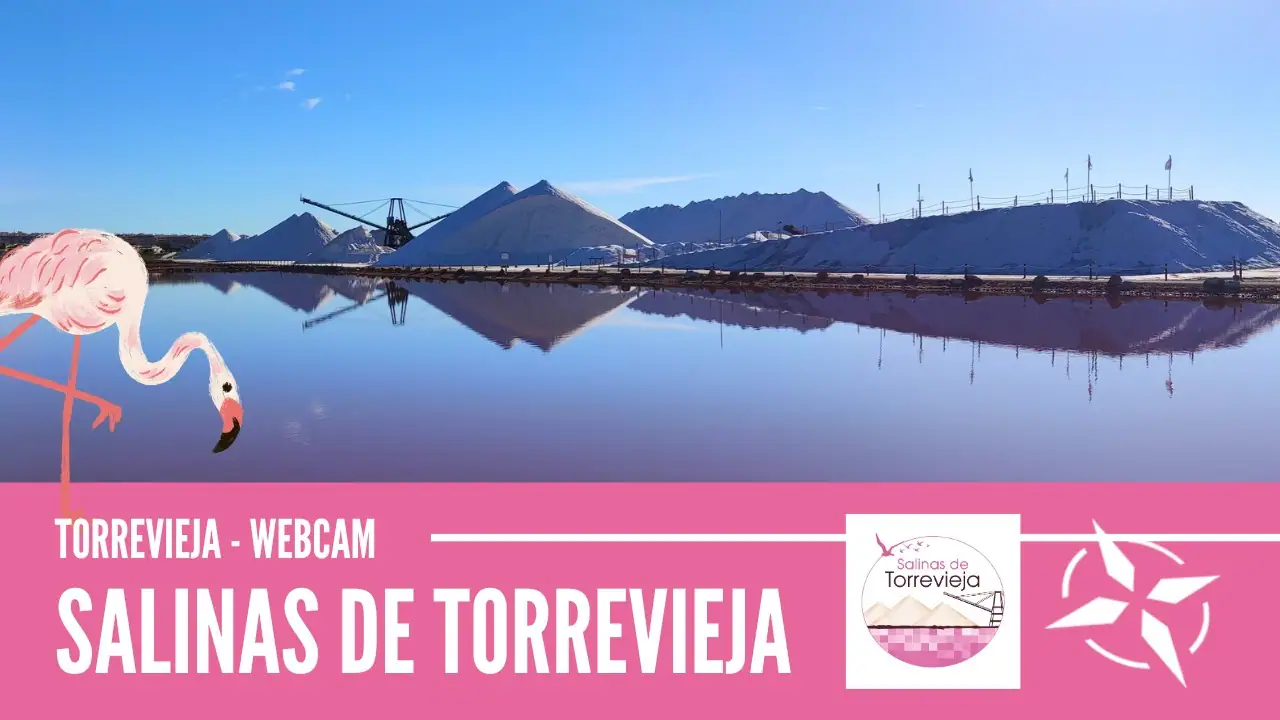 Salinas de Torrevieja, Alicante