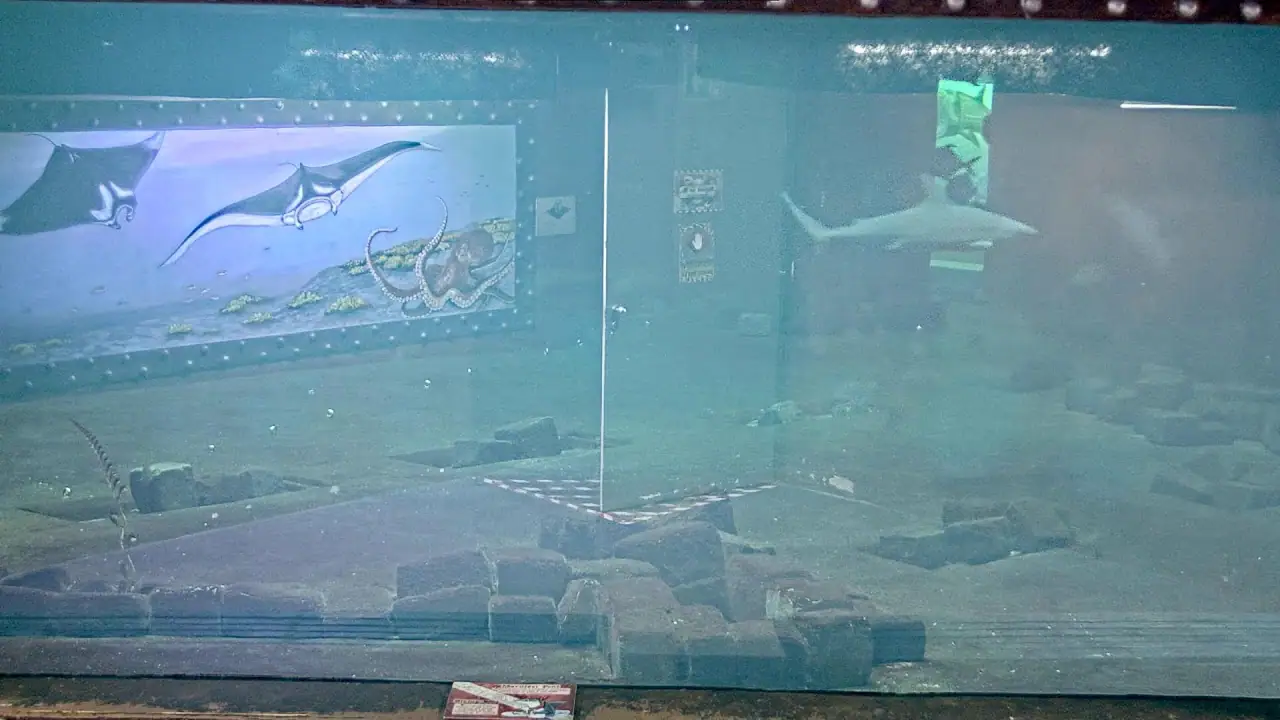 Aquarium, Budapest Zoo, hungary live camera view on VolveVision