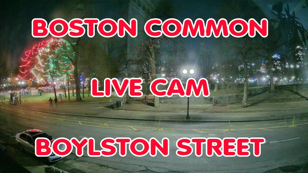 Boston Common Cam, USA live camera view on VolveVision