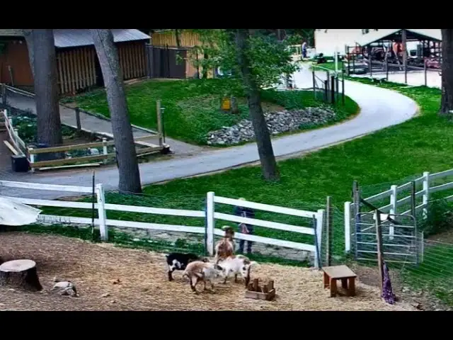 Yard Cam, Ipswich