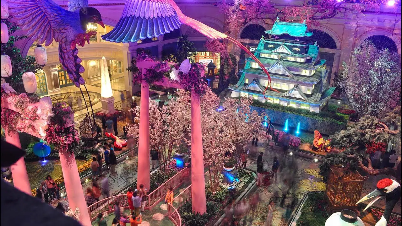 Bellagio Cam, Las Vegas, usa live camera view on VolveVision