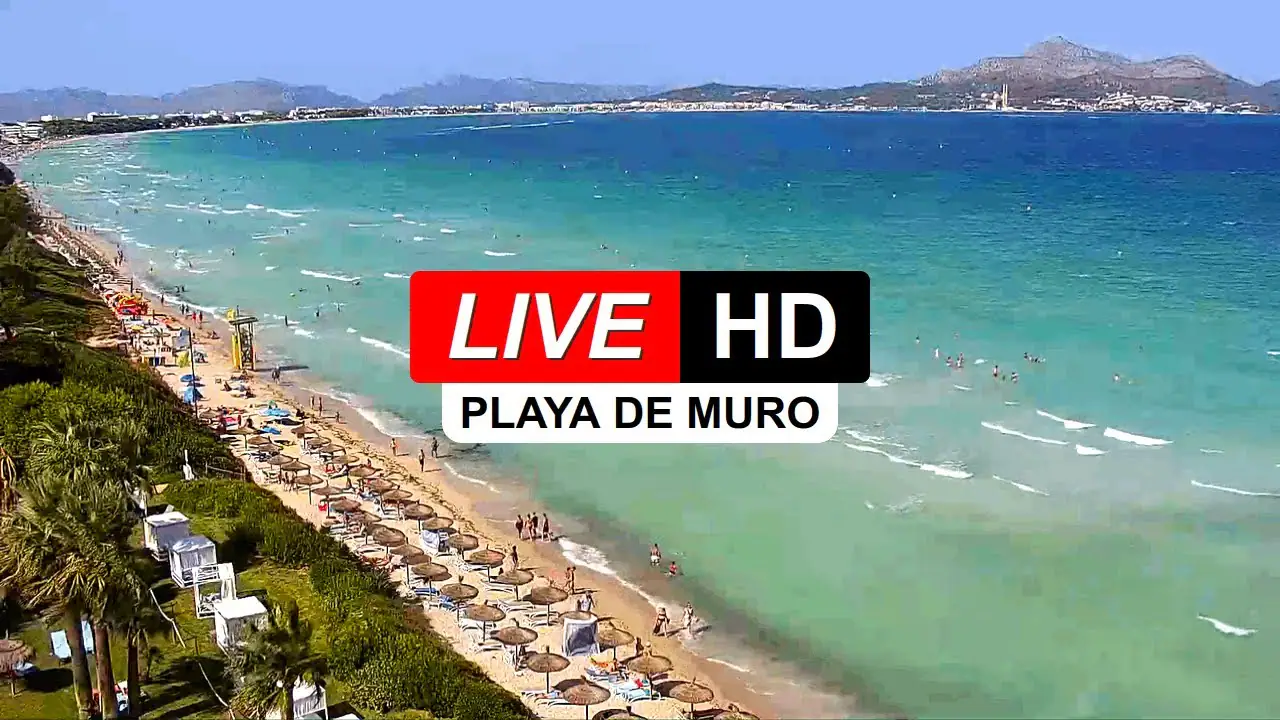 Vista en vivo de Cámara en Vivo de Playa de Muro Beach, Mallorca en VolveVision