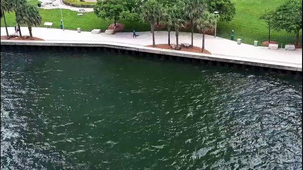 Vista en vivo de Cámara del río Miami, Florida en VolveVision