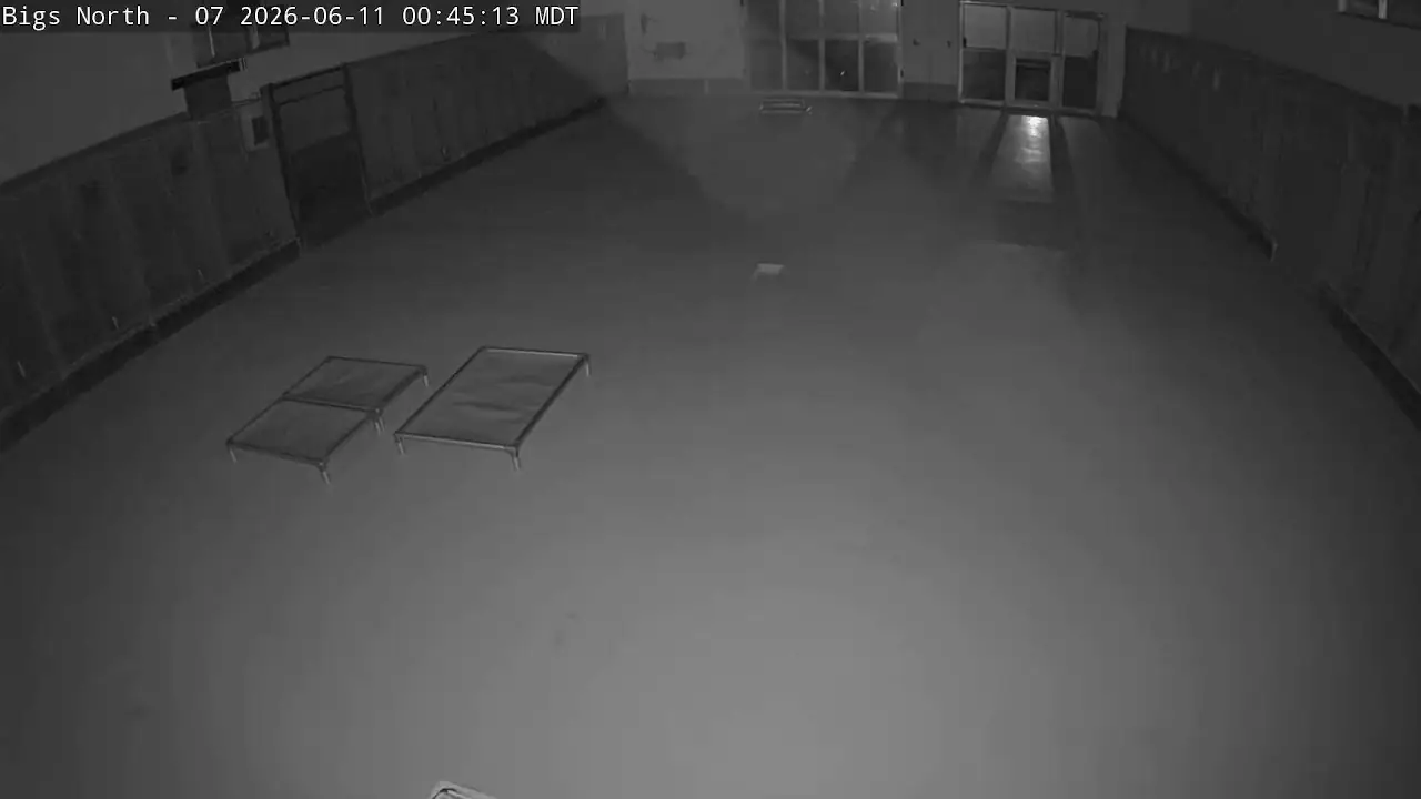 Live Webcam North Inside Facility at DogMode, Salt Lake City, Utah, USA