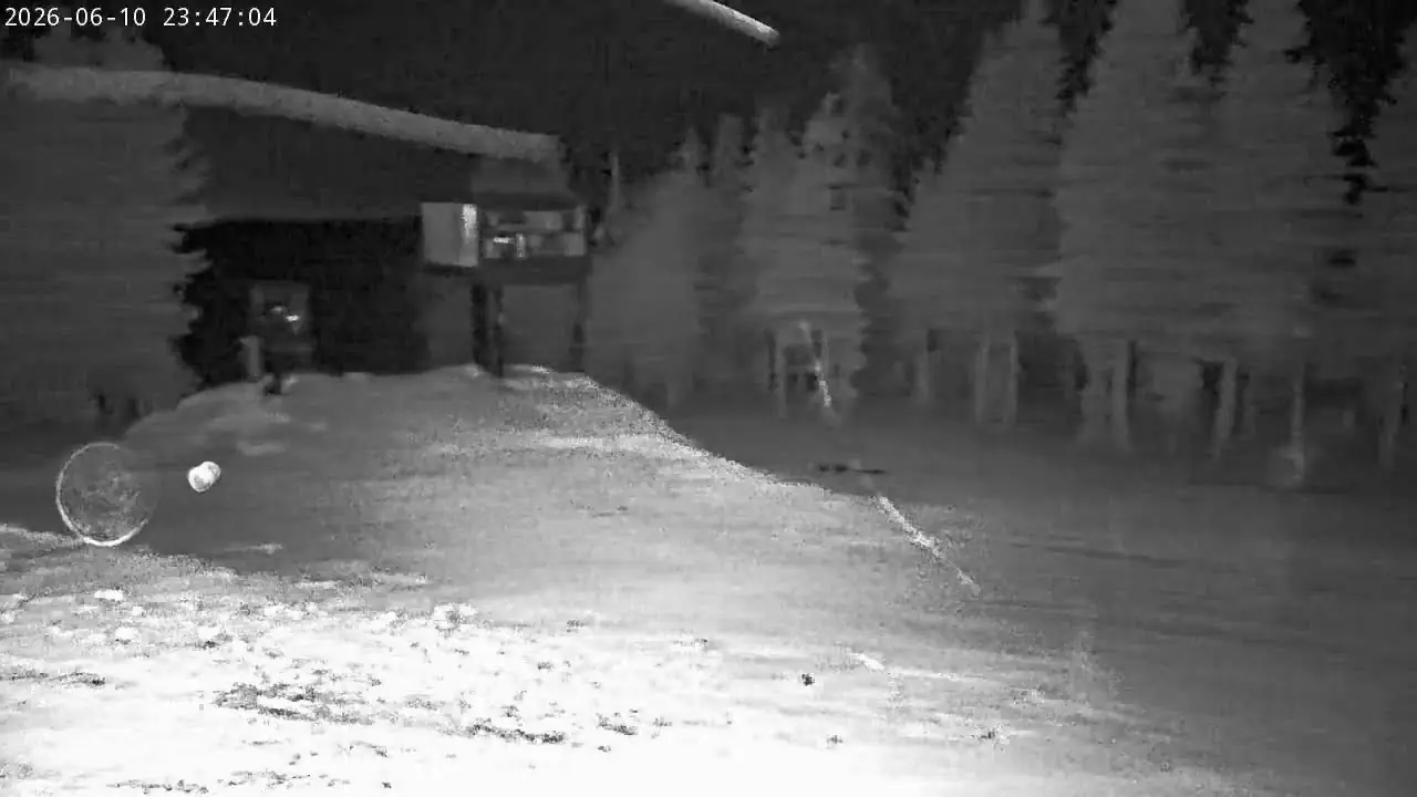 Live Webcam Skyline Bear Valley Mountain Resort, CA, USA, California live camera view on VolveVision