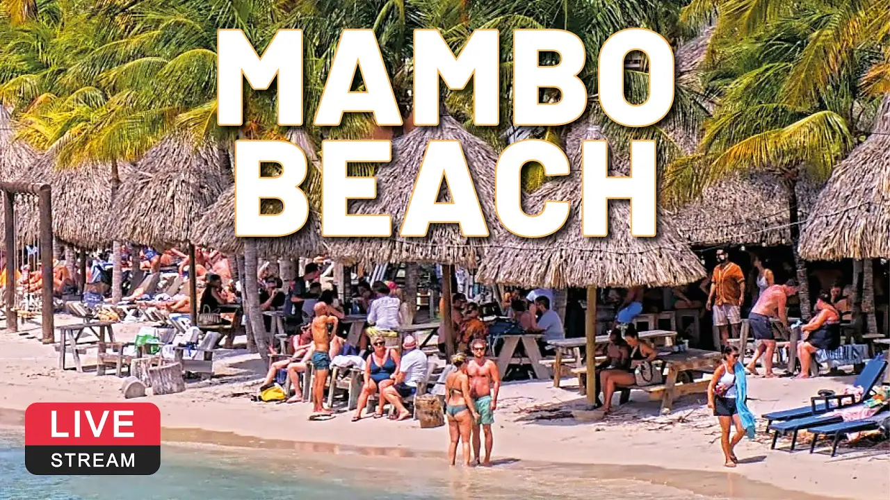 Камера Live Mambo Beach в Виллемстаде, Кюрасао