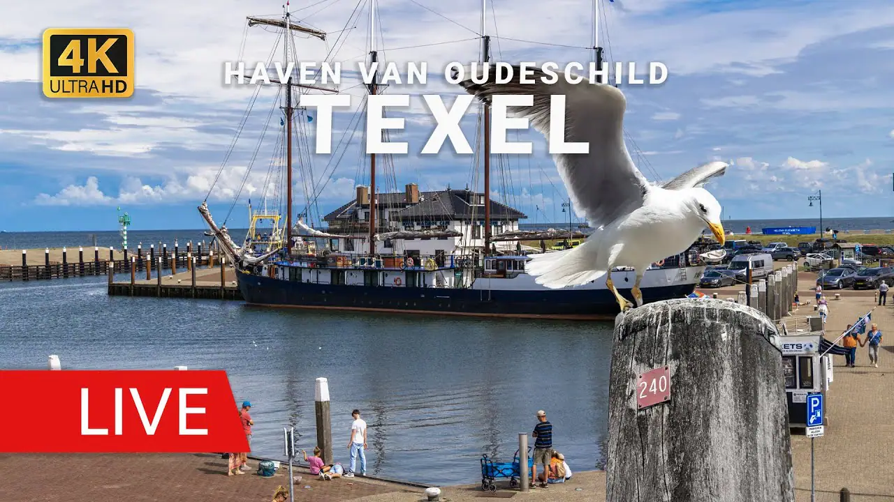 HD streaming Webcam of Haven Oudeschild Harbour Texel, Netherlands