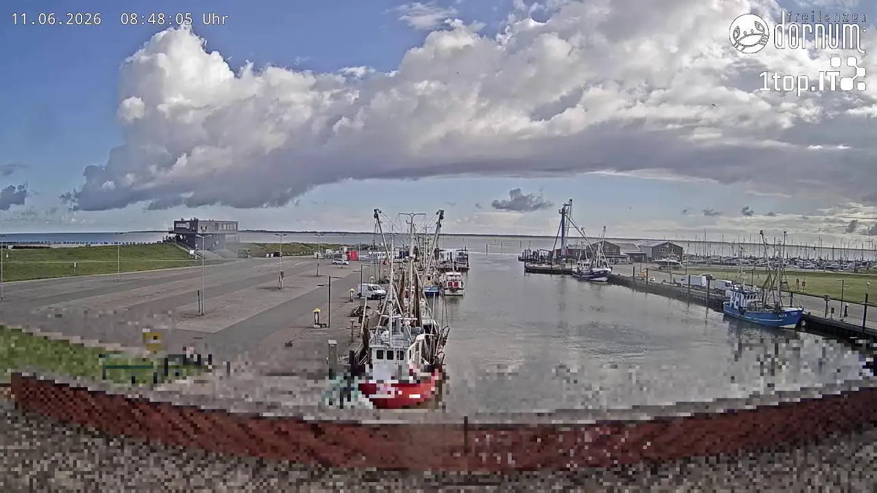 Live Webcam Hafen Dornumersiel Harbour, Germany
