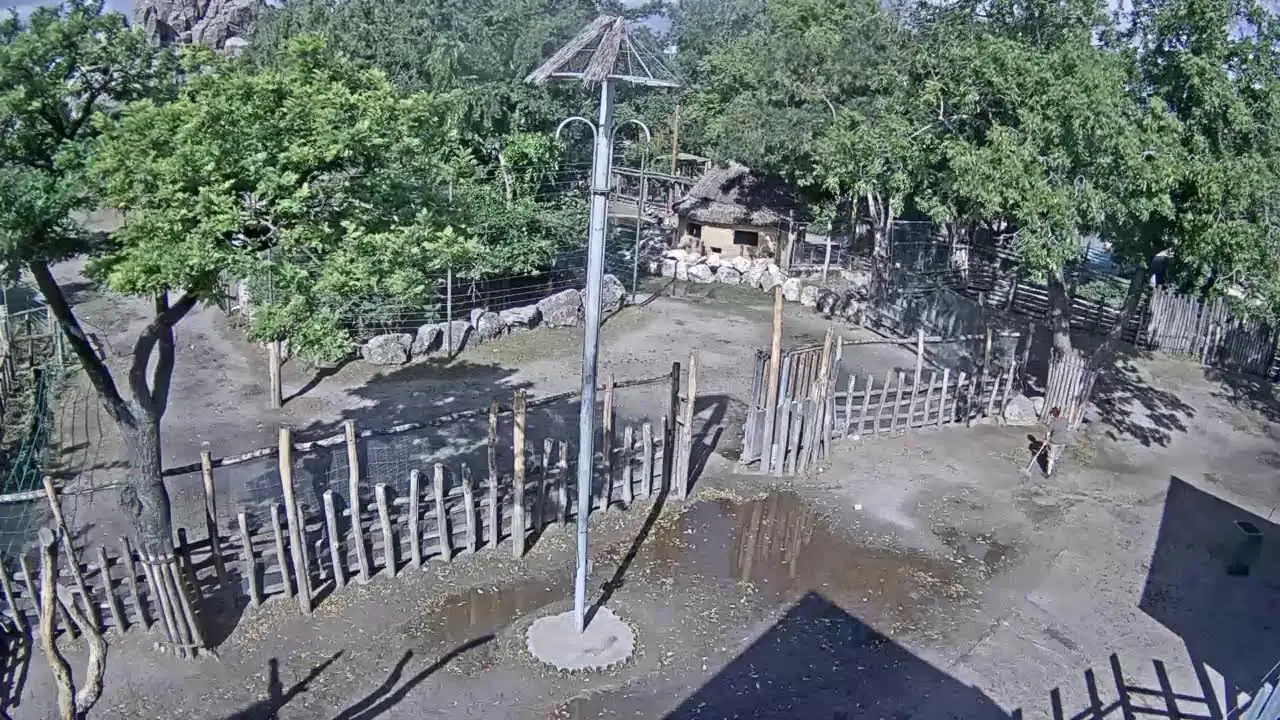 Vista en vivo de Cámara web HD en directo del zoo de Budapest, Hungría en VolveVision