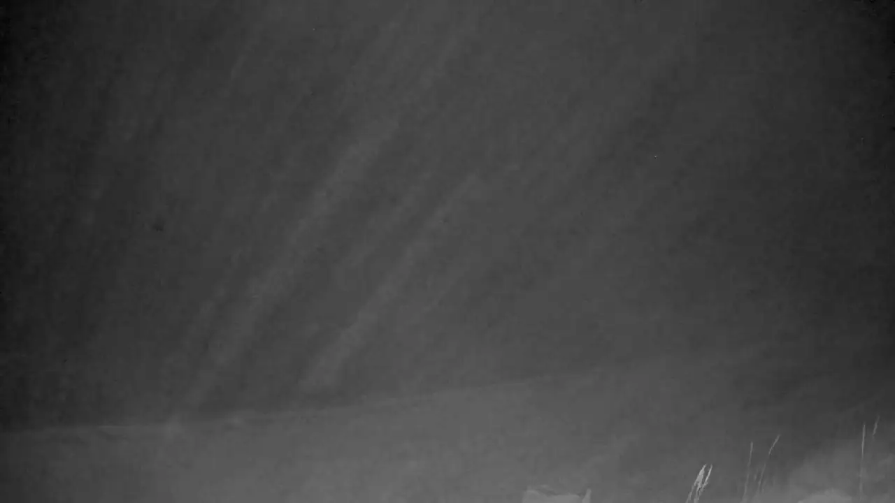 Live Dune Allen Beach Webcam from Vue on 30A, Florida, USA live camera view on VolveVision