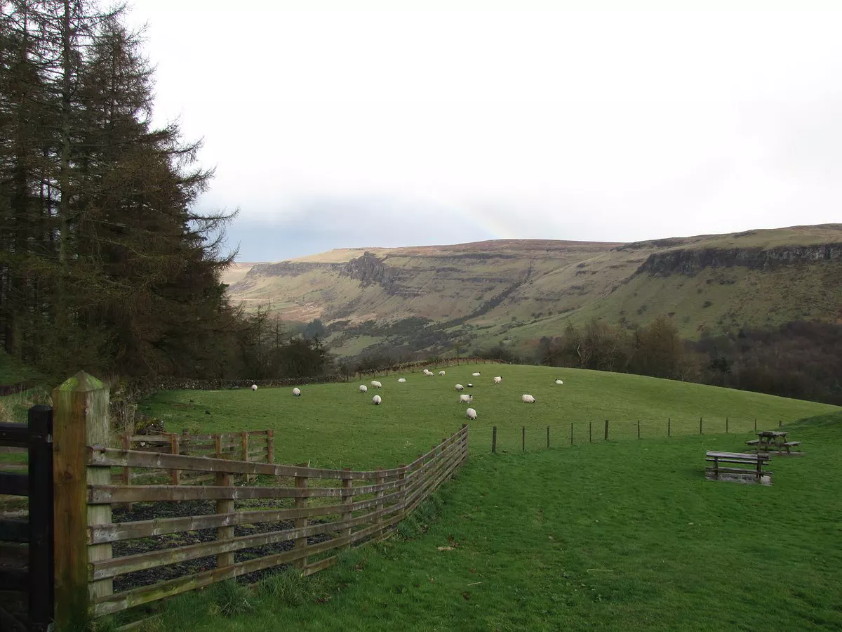 Vista en vivo de Antrim and Newtownabbey District en VolveVision