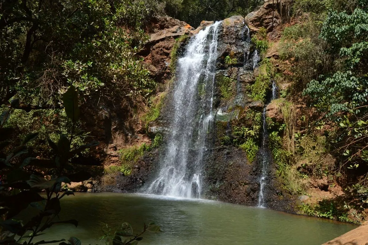 Laikipia North live camera view on VolveVision