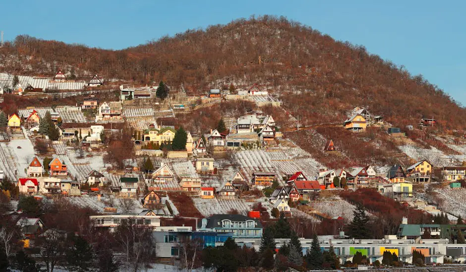 Naramata live camera view on VolveVision