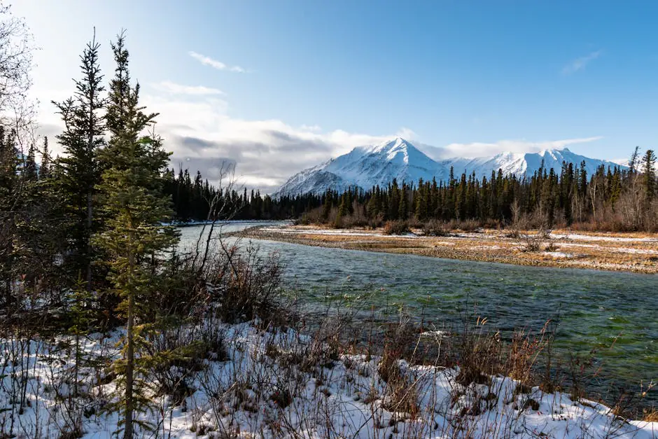 Haines Junction live camera view on VolveVision