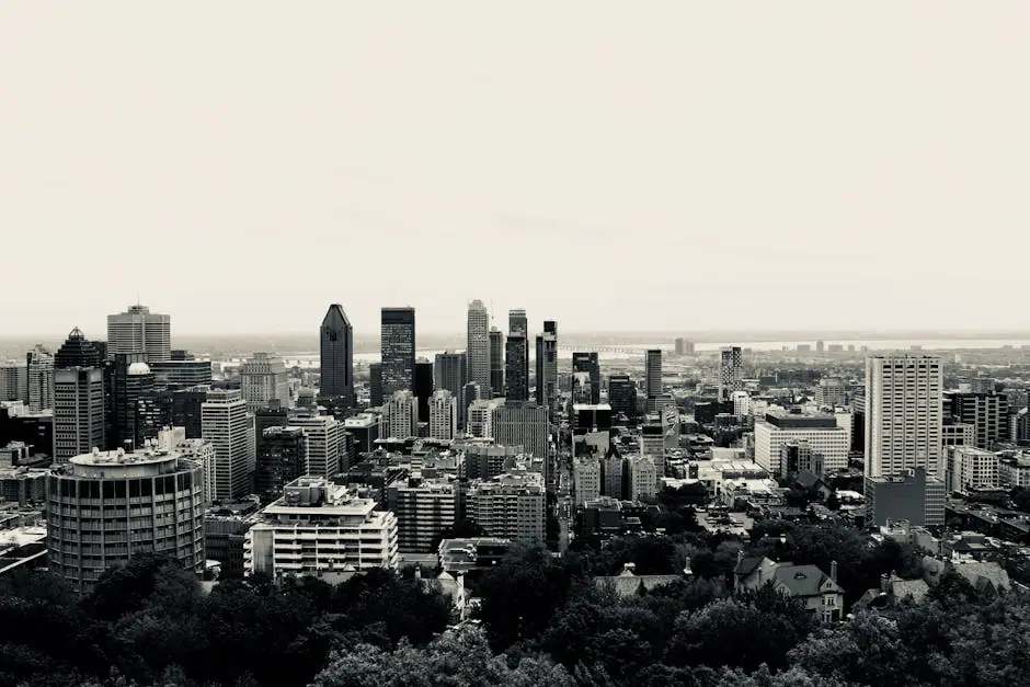 Balzac live camera view on VolveVision