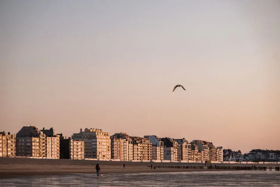 Berck live camera view on VolveVision