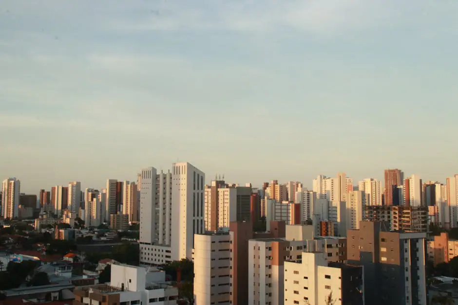 Biscoitos live camera view on VolveVision