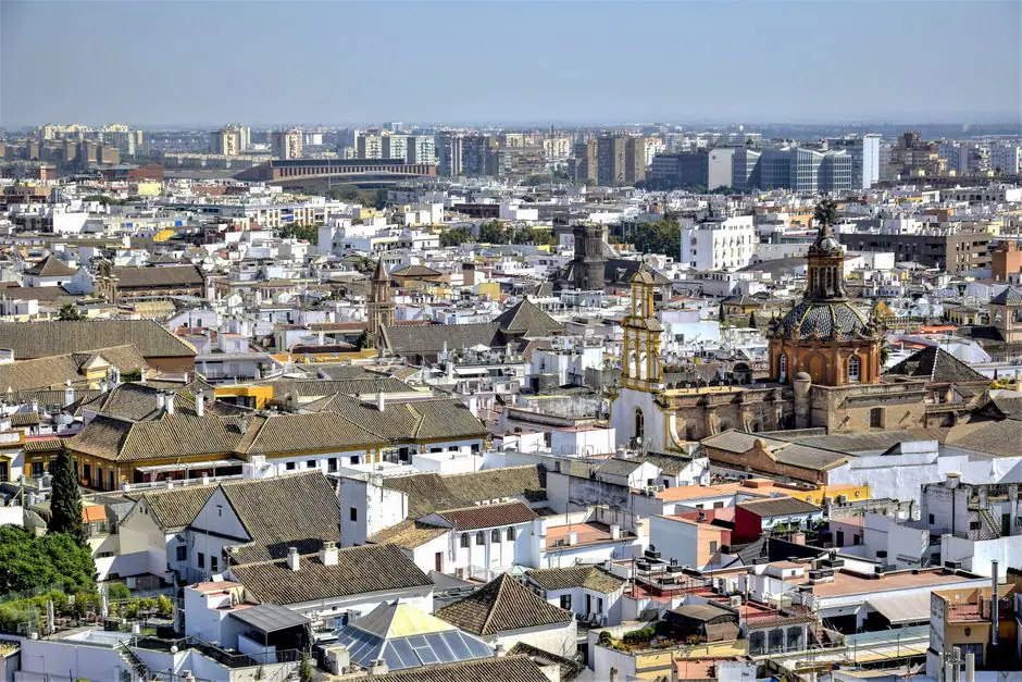 Triana live camera view on VolveVision