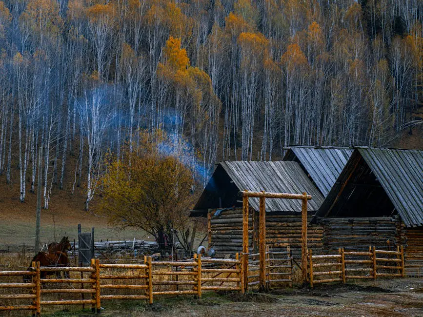 Онлайн-камера Сайханба на VolveVision