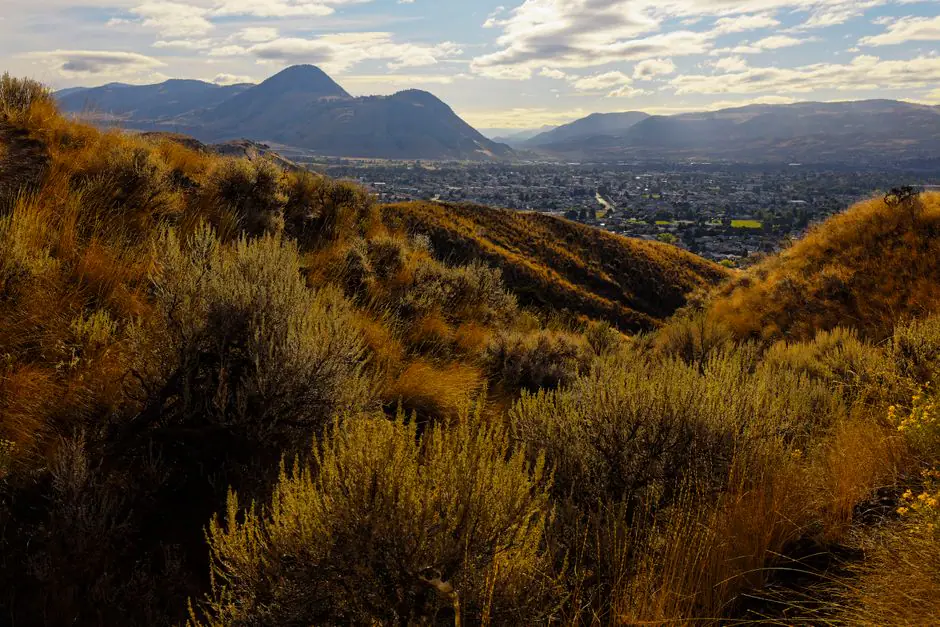 Chelan live camera view on VolveVision