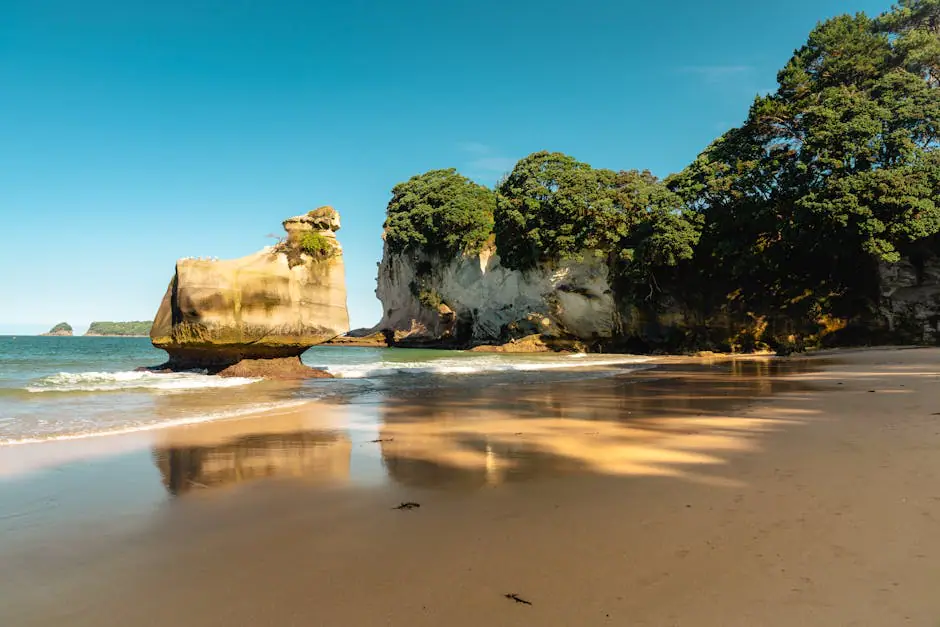 Vista en vivo de Whitianga en VolveVision