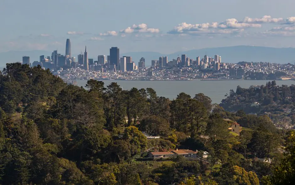 Belvedere live camera view on VolveVision