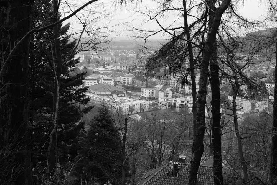 Vista en vivo de Ilmenau en VolveVision