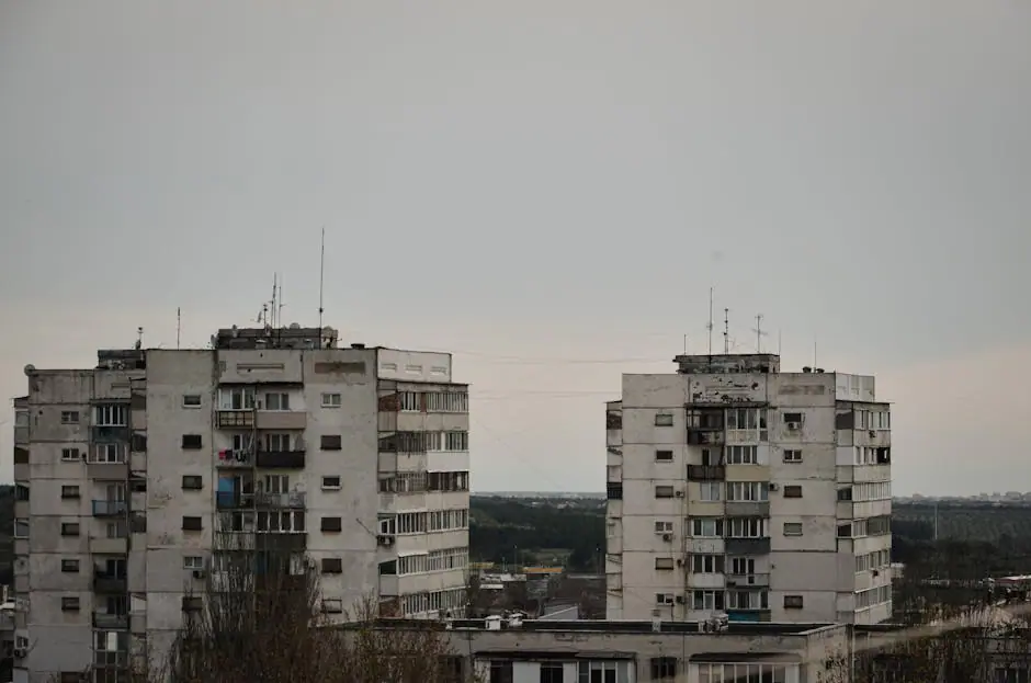 Vista en vivo de Palota en VolveVision