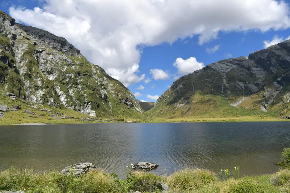 Vista en vivo de Haast en VolveVision