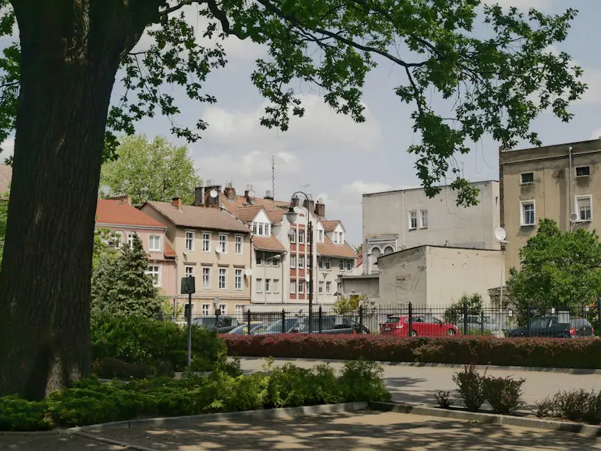 Vista en vivo de Zielona Góra en VolveVision
