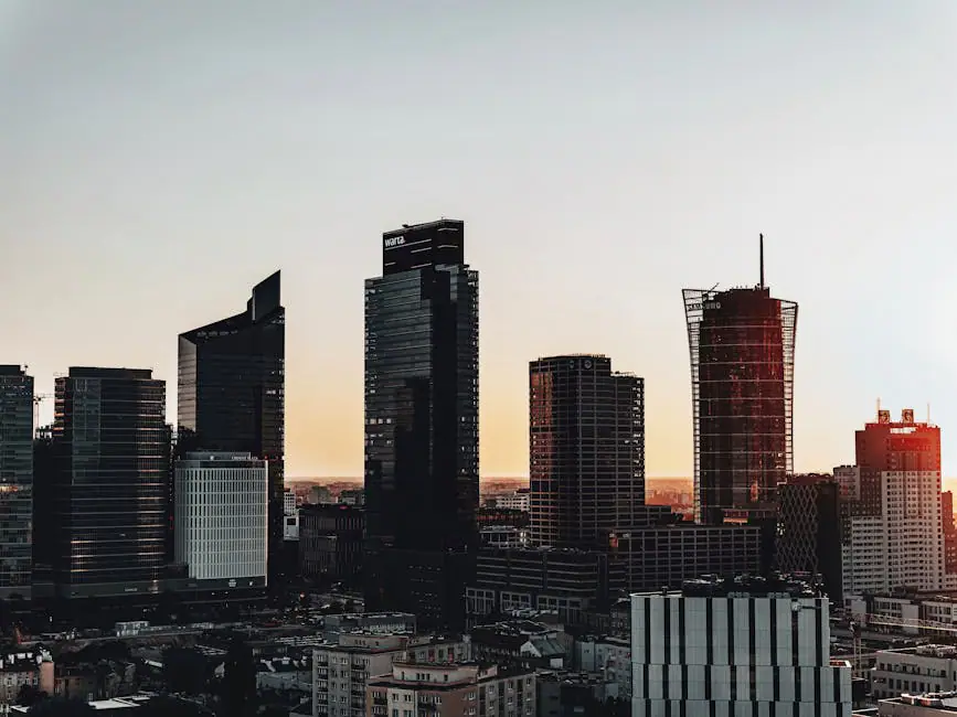 Vista en vivo de Bolcie en VolveVision