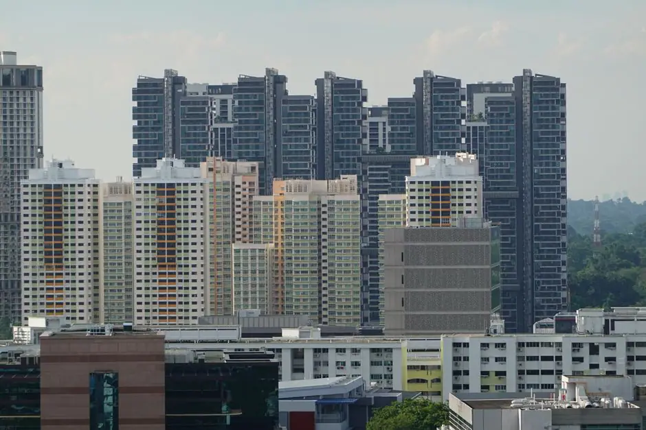 Newton live camera view on VolveVision