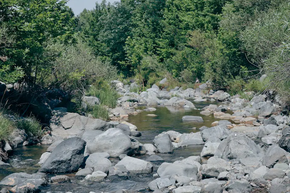 Cache Creek live camera view on VolveVision