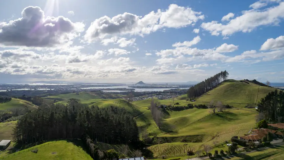 Vista en vivo de Tauranga en VolveVision