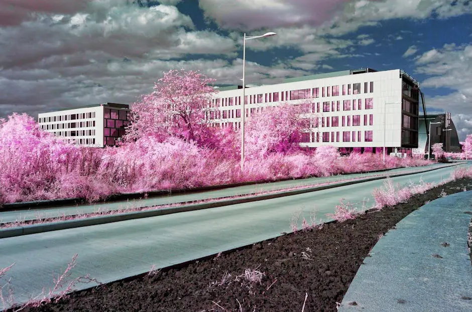 Vista en vivo de North Lanarkshire en VolveVision