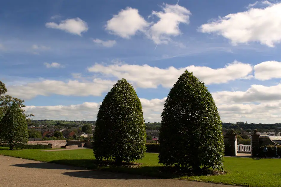 Vista en vivo de Lisburn en VolveVision