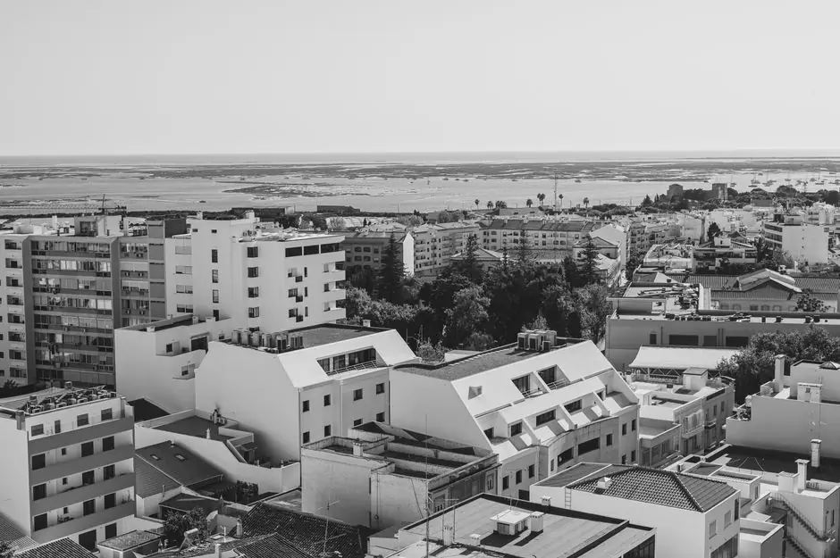 Comporta live camera view on VolveVision