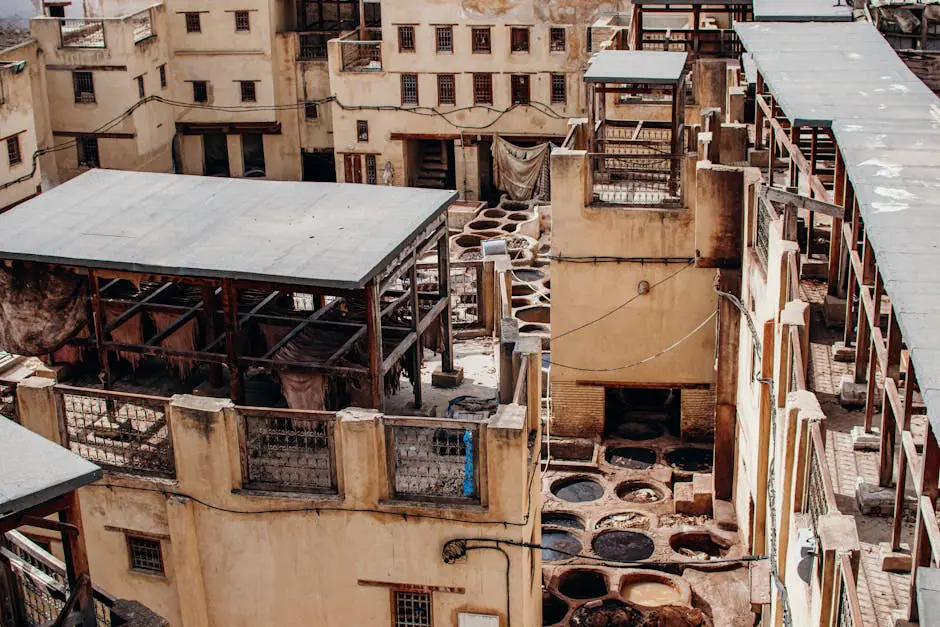 Fez live camera view on VolveVision