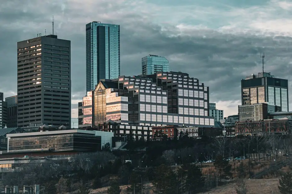Merritt live camera view on VolveVision