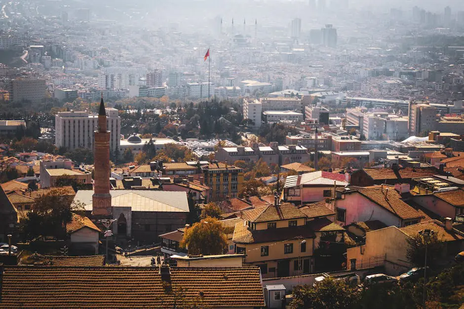 Vista en vivo de Turk en VolveVision